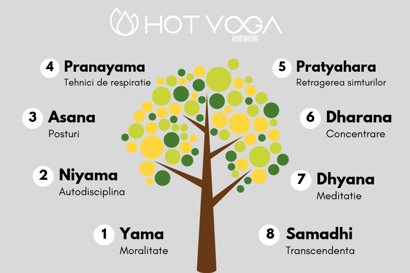 cele-8-elemente-ale-practicii-yoga